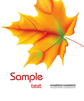 EPS 해외이미지 나무 식물 디자인 계절 백그라운드 단풍 잎 캐나다 꽃무늬 패턴 오렌지 일러스트 자연 목재 그래픽 장식 빨간색 컬러풀 노란색 가을 달콤 9월 11월 심볼 그림 10월 엘리먼트 플라타너스 해외202004 해외일러스트 꽃 컬러 북아메리카 무늬 과일 재료 날짜 맛 생태계 파일형식 벡터 이미지허브