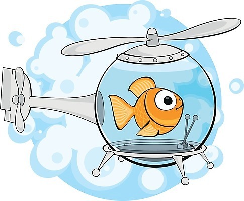 EPS 해외이미지 감정 여행 일러스트 교통시설 추상 어류 미술 미소 물 파란색 수중 거품 원형 액체 헬리콥터 작음 프로펠러 금붕어 지느러미 수족관 고립 해외202004 해외일러스트 자연요소 도형 컬러 교통 무늬 문화예술 비행기 표정 수중동물 크기 시설 파일형식 벡터 이미지허브