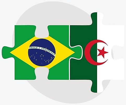 EPS 해외이미지 조각 컨셉 일러스트 비즈니스 관계 협력 함께함 사람 그래픽 3D 깃발 퍼즐 연결 결합 접속 오브젝트 흰배경 나눔 브라질 해결 고립 알제리 전국 정부 정치 통일 브라질사람 해외202004 해외일러스트 백그라운드 아프리카 흰색 남아메리카 디지털합성 파일형식 벡터 이미지허브