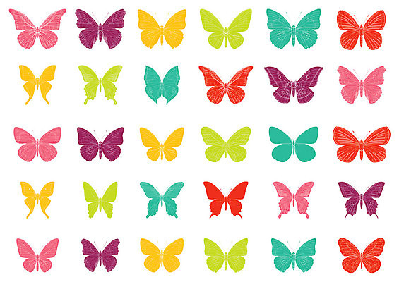 EPS 해외이미지 모양 실루엣 아시아 나비 곤충 백그라운드 패턴 날개 오렌지 일러스트 자연 안테나 종류 미술 그래픽 장식 파란색 세트 컬러풀 노란색 검은색 미국 줄무늬 흰색 선택 벌레 수집 클립 윤곽 브라질 나방 고립 해외202004 해외일러스트 동물 나라 컬러 컨셉 북아메리카 무늬 과일 통신 문화예술 촬영기법 남아메리카 생태계 파일형식 벡터 이미지허브