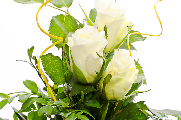 포토 JPG 해외이미지 식물 꽃 꽃다발 결혼 잎 꽃무늬 자연 결혼식 추상 발렌타인데이 선물 사랑 이벤트 20대 사람없음 장식 장미 흰색 생일 아로마 내추럴 해외202004 해외포토 기념일 감정 컬러 무늬 데이이벤트 청년 생태계 파일형식 이미지허브