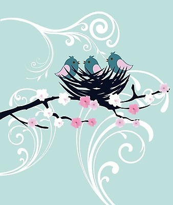 EPS 해외이미지 모양 동물 구름 실루엣 야생동물 여행 날개 일러스트 자연 조류 하늘 종류 경사 그래픽 반려동물 세트 검은색 자유 흰색 그룹 수집 깃털 그림 비둘기 부리 머리위 모음 고립 동물상 무료 집게발 해외202004 해외일러스트 자연요소 컬러 컨셉 촬영기법 조형물 생태계 파일형식 벡터 이미지허브