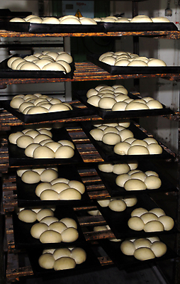 포토 JPG 해외이미지 빵 공장 쟁반 실내 사람없음 저장 진열장 반죽 일렬 해외202004 해외포토 음식 공업 내부 파일형식 이미지허브