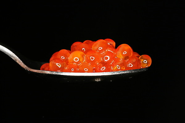 포토 JPG 해외이미지 음식 세포 어류 요리 사람없음 기쁨 신선 원형 고급 맛 먹기 해산물 만족 충동구매 식품점 짠맛 캐비아 해외202004 해외포토 도형 감정 컨셉 식재료 모션 쇼핑 상점 수중동물 과소비 파일형식 이미지허브