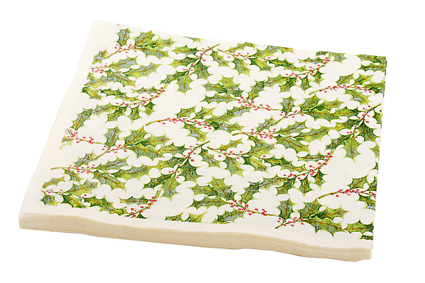 포토 JPG 해외이미지 식기 종이 사람없음 장식 초록색 우주 주방 청결 식탁보 흰색 조직 위생 냅킨 닦기 고립 해외202004 해외포토 컬러 모션 파일형식 이미지허브