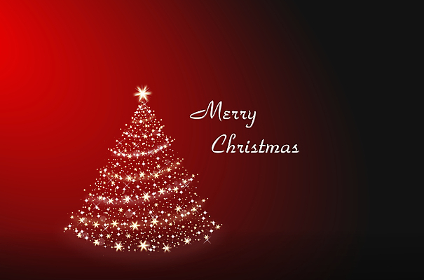 포토 JPG 해외이미지 나무 아이콘 디자인 별 백그라운드 크리스마스 패턴 일러스트 추상 휴가 전등 크리스마스카드 프레임 미술 사람없음 그래픽 장식 빨간색 빛 크리스마스트리 거품 장식볼 신용카드 화려 12월 심볼 엽서 전나무 혼자 해외202004 해외포토 자연요소 식물 기념일 컬러 컨셉 무늬 문화예술 조명 카드_감사 금융 날짜 편지 파일형식 이미지허브