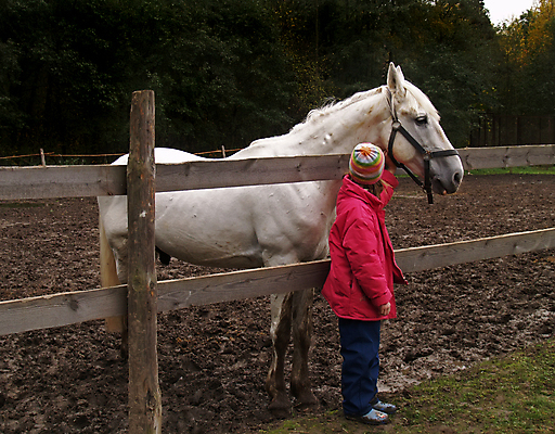 포토 JPG 해외이미지 동물 얼굴 어린이 스포츠 장갑 포유류 사람 사람없음 야외 반려동물 갈색 경기장 흰색 승마 우아함 중앙 승차 큼 갈기 굴레 방목장 해외202004 해외포토 잡화 컬러 컨셉 스포츠시설 모션 신체부위 크기 파일형식 이미지허브
