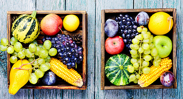 포토 JPG 해외이미지 계절 열매 음식 백그라운드 컨셉 단풍 다이어트 채소 과일 자연 호박 포도 쟁반 건강 종류 사람없음 장식 컬러풀 노란색 바구니 수확 가을 시골 신선 시간 사과 9월 11월 다발 수집 유기농 박 자두 10월 내추럴 숙성 정물화 해외202004 해외포토 식물 웰빙 컬러 잎 농업 날짜 그림 생태계 파일형식 이미지허브