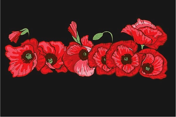 EPS 해외이미지 식물 디자인 배너 계절 꽃잎 꽃 포스터 꽃다발 백그라운드 꽃무늬 밭 일러스트 자연 휴가 내부 그래픽 장식 빨간색 초록색 여름 세트 정원 검은색 봄 벚꽃 인사 신용카드 개화 4월 5월 다발 그림 양귀비 내추럴 고립 엘리먼트 해외202004 해외일러스트 컬러 무늬 농업 금융 예절 날짜 생태계 파일형식 벡터 이미지허브