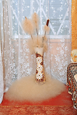 포토 JPG 해외이미지 식물 계절 꽃 백그라운드 꽃무늬 창문 자연 지팡이 바닥 주택 건조 사람없음 야외 빨간색 물 갈색 방 흰색 허브 질감 해외202004 해외포토 자연요소 컬러 무늬 건물 생태계 파일형식 이미지허브