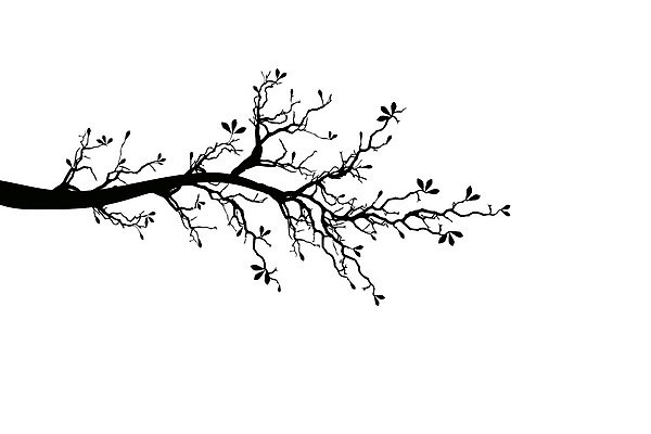 EPS 해외이미지 나무 식물 디자인 계절 꽃 실루엣 백그라운드 잎 꽃무늬 패턴 일러스트 자연 추상 미술 장식 초록색 유행 검은색 성장 벚꽃 흰색 나뭇가지 심볼 질감 나무껍질 고립 해외202004 해외일러스트 컬러 무늬 문화예술 촬영기법 껍질 생태계 파일형식 벡터 이미지허브