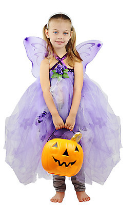 포토 JPG 해외이미지 백인 1 긴머리 여자 꽃 행복 어린이 날개 휴가 요정 사탕 한명 서기 미소 사람 금발 바구니 보라색 할로윈 가을 잡기 제비꽃 가득함 흰배경 적재 고립 핸드메이드 혼자 해외202004 해외포토 서양인 식물 헤어스타일 계절 감정 컬러 백그라운드 모션 디저트 표정 흰색 파일형식 이미지허브