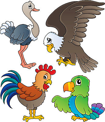 EPS 해외이미지 클립아트 동물 디자인 응시 행복 날개 일러스트 자연 조류 동물원 미술 그래픽 세트 치킨 그리기 수집 깃털 그림 부리 앵무새 독수리 타조 수탉 고립 동물상 엘리먼트 해외202004 해외일러스트 시선 감정 모션 문화예술 조형물 닭 수컷 생태계 닭고기요리 파일형식 벡터 이미지허브