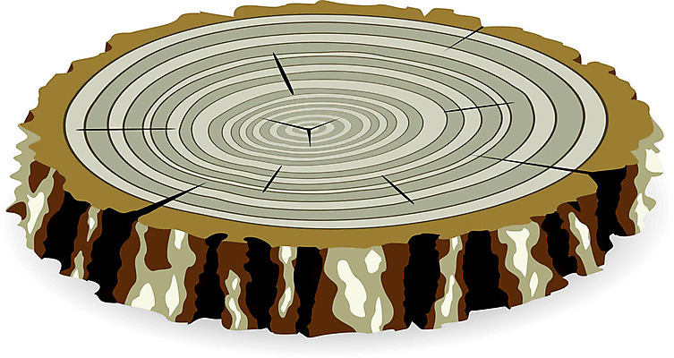 EPS 해외이미지 클립아트 나무 산업 조각 백그라운드 패턴 일러스트 부분 자연 건조 그림자 목재 갈색 회색 흰색 반지 시간 소나무 원형 거친 역사 균열 숲 자르기 오브젝트 질감 통나무 나무껍질 다리찢기 내추럴 고립 방법 수목 옛날 노화 해외202004 해외일러스트 도형 식물 컬러 컨셉 무늬 재료 장신구 모션 껍질 생태계 파일형식 벡터 이미지허브