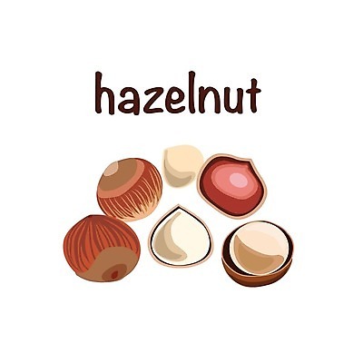 EPS 해외이미지 식물 디자인 음식 백그라운드 농업 다이어트 일러스트 재료 자연 디저트 건강 씨앗 세트 갈색 견과류 수확 껍질 플랫 맛 상품 수집 먹기 심볼 오브젝트 사인 그림 유기농 날것 내추럴 개암나무 고립 단백질 엘리먼트 채식주의자 개암 비건 해외202004 해외일러스트 나무 웰빙 열매 산업 컬러 컨셉 모션 생태계 채식 영양소 파일형식 벡터 이미지허브