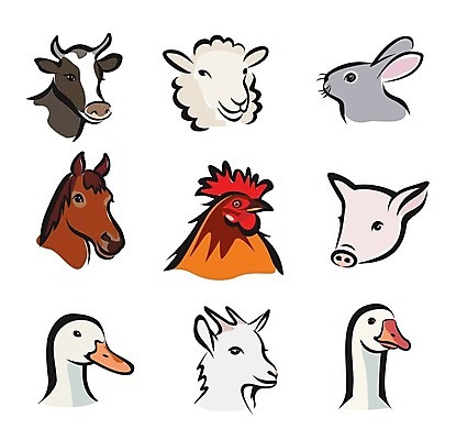 EPS 해외이미지 클립아트 동물 디자인 행복 얼굴 선 농업 일러스트 비즈니스 염소 오리 동물원 육류 세트 컬러풀 농장 머리 검은색 치킨 만남 토끼 양 돼지 소 농부 수집 심볼 사인 심플 윤곽 거위 수탉 고립 밭일 스타일 해외202004 해외일러스트 직업 감정 산업 컬러 컨셉 식재료 포유류 조류 신체부위 반려동물 닭 수컷 닭고기요리 파일형식 벡터 이미지허브