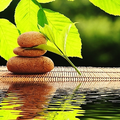 포토 JPG 해외이미지 식물 라이프스타일 아시아 문화 선 잎 자연 휴식 건강 동양인 사람없음 초록색 물 여름 태양 반사 쌓기 정원 일본 맑음 스파 화목 봄 바위 신선 순수 에코 암초 내추럴 생태학 해외202004 해외포토 자연요소 계절 교육 나라 컬러 컨셉 모션 날씨 인종 생활 환경 돌_바위 생태계 파일형식 이미지허브