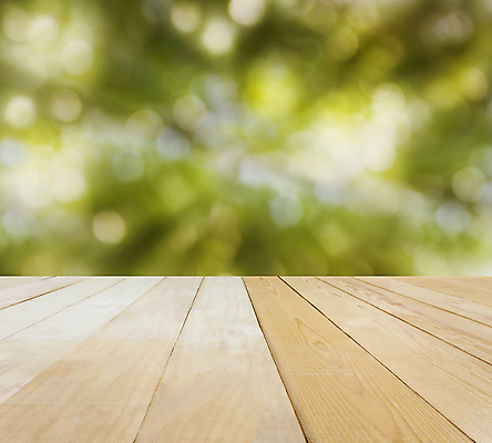 포토 JPG 해외이미지 나무 백그라운드 자연 탁자 선반 사람없음 목재 초록색 우주 공백 정상 계산대 보케 지역 해외202004 해외포토 식물 컬러 가구 재료 생태계 파일형식 이미지허브