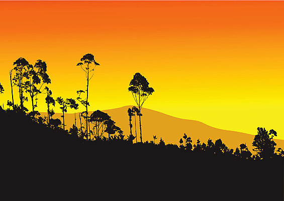 EPS 해외이미지 나무 식물 실루엣 백그라운드 밭 오렌지 일러스트 자연 하늘 아침 산 파노라마 풍경 야외 가로 여름 태양 평화 검은색 어둠 침묵 황혼 일몰 시골 황무지 숲 땅 언덕 심플 장면 내추럴 웅장함 절정 수평선 해외202004 해외일러스트 주간 자연요소 계절 컬러 컨셉 농업 과일 촬영기법 노을 소리 생태계 파일형식 벡터 이미지허브