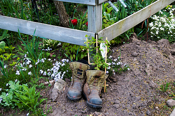 포토 JPG 해외이미지 옷 무기 컨셉 유니폼 2 부츠 사람없음 갈색 걷기 힘 장비 쌍 거친 보호 가죽 오브젝트 군용 먼지 육군 숨김 옛날 해외202004 해외포토 컬러 신발 모션 군대 파일형식 이미지허브
