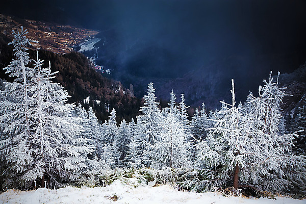 포토 JPG 해외이미지 나무 계절 행복 여행 백그라운드 크리스마스 겨울 자연 하늘 날씨 휴가 새로움 산 기념 요정 국립공원 풍경 사람없음 야외 파란색 빛 태양 얼음 축제 추위 흰색 축하 소나무 눈송이 숲 12월 연도 서리 전나무 루마니아 1월 폭설 눈내림 해외202004 해외포토 자연요소 식물 공원 기념일 감정 유럽 컬러 컨셉 눈_날씨 날짜 자연재해 생태계 파일형식 이미지허브