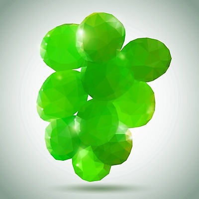 EPS 해외이미지 식물 계절 얼굴 음식 잎 농업 다이어트 과일 일러스트 재료 자연 유리 포도 디저트 건강 가로 세로 초록색 여름 와인 주스 가을 흰색 나뭇가지 신선 그룹 달콤 크리스탈 보석 다발 오브젝트 싱글 날것 다이아몬드 포도나무 내추럴 고립 숙성 양조장 채식주의자 해외202004 해외일러스트 나무 산업 음료 컬러 재질 주류 신체부위 맛 광석 과일나무 생태계 채식 파일형식 벡터 이미지허브