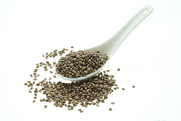 포토 JPG 해외이미지 식물 음식 사람없음 농작물 약 약재 삼 약초 허브 조제 단백질 마약 자연요법 해외202004 해외포토 농업 채소 의학 풀_식물 만들기 영양소 파일형식 이미지허브