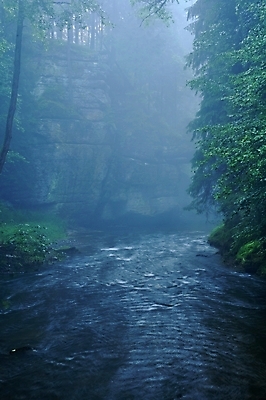 포토 JPG 해외이미지 나무 공원 자연 하늘 표면 아침 산 풍경 사람없음 야외 초록색 물 여름 강 평화 일출 검은색 어둠 침묵 고요 일몰 봄 폭포 젖음 흐름 안개 가을 바위 신선 시간 개울 매끈함 소프트포커스 숲 장면 암초 뿌연 현재 해외202004 해외포토 주간 자연요소 식물 계절 공공시설 컬러 컨셉 날씨 촬영기법 노을 소리 돌_바위 감각 생태계 파일형식 이미지허브