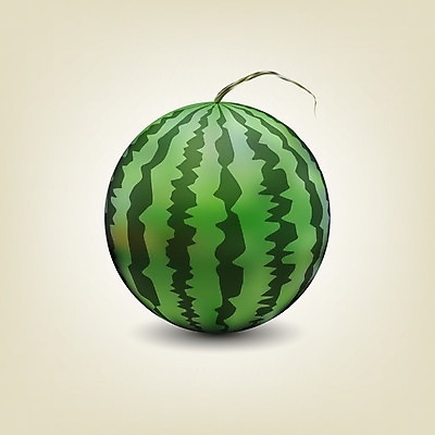 EPS 해외이미지 줄기 일러스트 수박 사람없음 초록색 해외202004 해외일러스트 식물 컬러 과일 파일형식 벡터 이미지허브