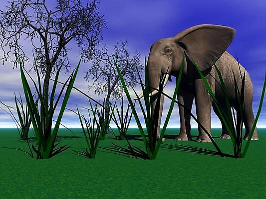 포토 JPG 해외이미지 동물 야생동물 모래 포유류 아프리카 자연 하늘 코끼리 안내 사람없음 파란색 모래사장 산책 사막 오픈 그룹 군중 큼 사파리 정사각형 먼지 제비 웅장함 평야 많음 해외202004 해외포토 도형 나라 바다 컬러 컨셉 조류 휴식 사람 크기 생태계 파일형식 이미지허브