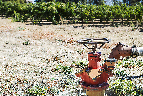 포토 JPG 해외이미지 식물 산업 농업 자연 포도 잔디 사람없음 초록색 물 농장 금속 정원 장비 젖음 흐름 공구 오브젝트 물주기 수도꼭지 원예 분무기 시스템 호스 튜브 고무 펌프 스프링쿨러 파이프라인 해외202004 해외포토 자연요소 컬러 컨셉 과일 모션 재질 취미 도구 생태계 파이프_관 파일형식 이미지허브