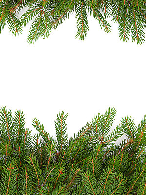 포토 JPG 해외이미지 모양 나무 식물 계절 백그라운드 잎 크리스마스 겨울 자연 휴가 새로움 새해 프레임 미술 사람없음 장식 초록색 축제 흰색 나뭇가지 축하 소나무 화려 가장자리 숲 연도 정사각형 뼈대 상록수 침엽수 전나무 내추럴 고립 구성 가문비나무 해외202004 해외포토 도형 기념일 컬러 컨셉 문화예술 둘레 생태계 파일형식 이미지허브
