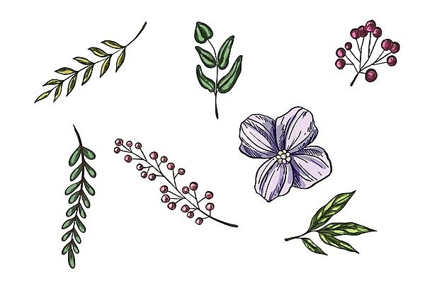 EPS 해외이미지 식물 손 디자인 꽃잎 꽃 꽃다발 결혼 백그라운드 잎 꽃무늬 일러스트 자연 수채화 장식 빨간색 여름 세트 장미 유행 봄 수확 벚꽃 흰색 인사 신용카드 생일 그리기 그림 복고 엽서 초대 고립 엘리먼트 작약 스타일 현실 해외202004 해외일러스트 계절 기념일 컬러 무늬 농업 모션 이벤트 신체부위 금융 예절 편지 생태계 파일형식 벡터 이미지허브