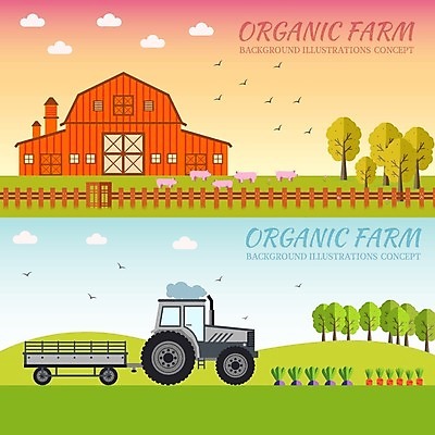 EPS 해외이미지 식물 디자인 밭 토마토 채소 과일 일러스트 자연 호박 주택 건강 풍경 사람없음 초록색 울타리 농가 정원 목장 인포그래픽 풍차 시골 신선 양 돼지 소 볏짚 사과 농부 만화 땅 밀 삽 오브젝트 유기농 대문 수탉 내추럴 외양간 고립 쇠스랑 엘리먼트 해외202004 해외일러스트 직업 웰빙 컬러 농업 포유류 곡류 건물 담장 농장 문 닭 짚 수컷 생태계 파일형식 벡터 이미지허브