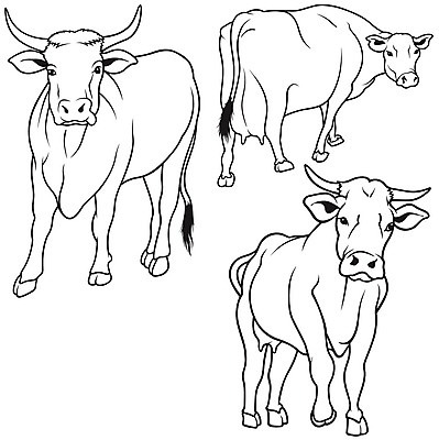 EPS 해외이미지 클립아트 동물 곡선 일러스트 포유류 뿔 세트 농장 가축 소 스케치 자르기 수집 그림 윤곽 손그림 젖 해외202004 해외일러스트 선 농업 모션 미술 파일형식 벡터 이미지허브