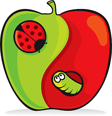 EPS 해외이미지 잎 일러스트 빨간색 초록색 벌레 사과 만화 무당벌레 해외202004 해외일러스트 식물 컬러 곤충 과일 파일형식 벡터 이미지허브