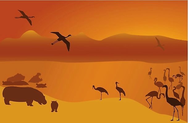 EPS 해외이미지 나무 동물 공원 실루엣 야생동물 여행 백그라운드 오렌지 일러스트 아프리카 자연 조류 아침 산 미술 풍경 가로 물 여름 햇빛 태양 노란색 일출 황혼 일몰 새벽 뜨거움 황금 땅 플라밍고 사파리 기중기 그림 클립 분화구 하마 케냐 광 세렝게티 전국 탄자니아 해외202004 해외일러스트 주간 자연요소 식물 계절 공공시설 나라 컬러 과일 포유류 문화예술 촬영기법 노을 중장비 생태계 화산 파일형식 벡터 이미지허브