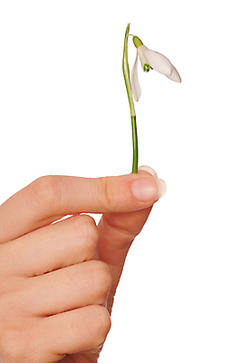 포토 JPG 해외이미지 식물 전통 손 계절 꽃잎 꽃 문화 줄기 꽃다발 잎 겨울 꽃무늬 자연 선물 사람없음 야외 장식 초록색 정원 침묵 봄 들꽃 성장 벚꽃 흰색 신선 잡기 눈송이 개화 선택 떨어짐 숲 4월 다발 배열 심볼 헌병 세련 해외202004 해외포토 컬러 컨셉 무늬 모션 눈_날씨 신체부위 소리 군인 날짜 생태계 파일형식 이미지허브