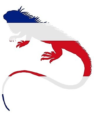 EPS 해외이미지 동물 배너 실루엣 백그라운드 일러스트 파충류 빨간색 파란색 미국 흰색 깃발 중앙 심볼 사인 도마뱀 이구아나 남쪽 고립 동물상 전국 해외202004 해외일러스트 컬러 북아메리카 촬영기법 조형물 방향 파일형식 벡터 이미지허브