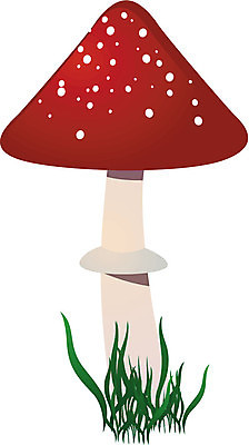 EPS 해외이미지 식물 캐릭터 계절 실루엣 음식 채소 일러스트 가족 자연 생물 기술 미술 야외 빨간색 여름 버섯 성장 흰색 점 그리기 그룹 수증기 만화 오브젝트 싱글 유기농 생물학 곰팡이 독버섯 채식주의자 캡모자 해외202004 해외일러스트 일러캐릭터 모자_잡화 웰빙 교육 컬러 관계 모션 문화예술 촬영기법 생태계 채식 파일형식 벡터 이미지허브