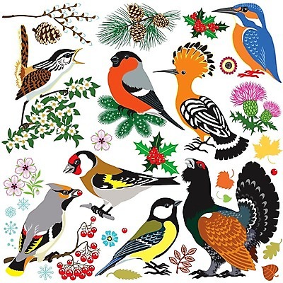 EPS 해외이미지 동물 꽃 유럽 일러스트 자연 조류 세트 숲 수집 고립 동물상 물총새 해외202004 해외일러스트 식물 나라 조형물 생태계 파일형식 벡터 이미지허브