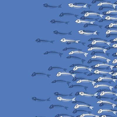 EPS 해외이미지 동물 디자인 교육 실루엣 야생동물 음식 바다 과학 백그라운드 패턴 일러스트 자연 낚시 뼈 골격 어류 그래픽 물 머리 검은색 죽음 치아 만화 심볼 해산물 척추 묘사 사인 그림 꼬리 지느러미 갈비뼈 고립 공격적 마스코트 해골모형 해외202004 해외일러스트 자연요소 컬러 컨셉 무늬 레저 촬영기법 신체부위 모형 수중동물 소화기관 생태계 파일형식 벡터 이미지허브