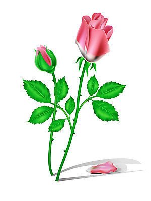 EPS 해외이미지 식물 꽃잎 꽃 줄기 백그라운드 잎 꽃무늬 패턴 일러스트 자연 발렌타인데이 사랑 미술 초록색 장미 새싹 정원 흰색 나뭇가지 가시 떨어짐 고립 해외202004 해외일러스트 나무 감정 컬러 컨셉 무늬 데이이벤트 문화예술 생태계 파일형식 벡터 이미지허브