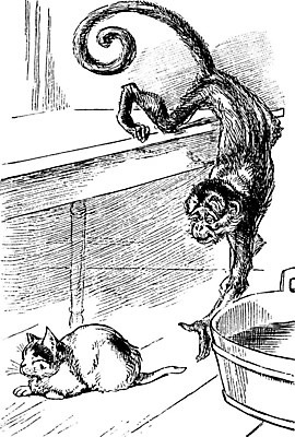 EPS 해외이미지 두마리 일러스트 장난 탁자 휴식 사람없음 눈감음 검은색 고양이 원숭이 라인아트 그림 판화 손뻗기 해외202004 해외일러스트 선 컬러 가구 컨셉 2 포유류 모션 미술 반려동물 파일형식 벡터 이미지허브