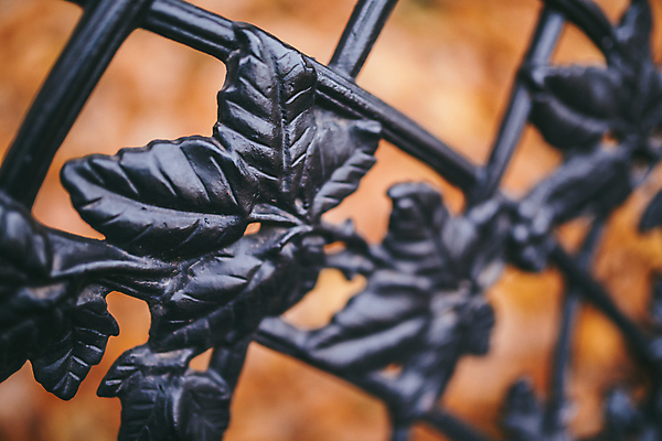 포토 JPG 해외이미지 디자인 공원 벽 백그라운드 패턴 곡선 건축양식 주택 프레임 안전 사람없음 야외 장식 울타리 금속 정원 검은색 수확 골동품 가을 경계선 바 화려 재산 황금 보호 철 묘사 대문 타운 스파이크 옛날 줄서기 철강 철책 스타일 해외202004 해외포토 계절 공공시설 건축 선 컬러 컨셉 무늬 농업 모션 재질 건물 금융 담장 문 도시 경계 파일형식 이미지허브