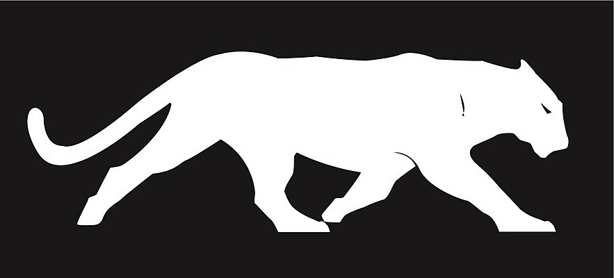 EPS 해외이미지 클립아트 동물 디자인 실루엣 선 일러스트 미술 그래픽 고양이 흰색 그리기 호랑이 사자 만화 그림 클립 윤곽 치타 표범 해외202004 해외일러스트 컬러 포유류 모션 문화예술 촬영기법 반려동물 파일형식 벡터 이미지허브