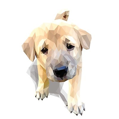 EPS 해외이미지 동물 1 디자인 행복 얼굴 백그라운드 컨셉 일러스트 추상 건강 사랑 미술 미소 야외 그래픽 초록색 반려동물 갈색 흰색 개 심볼 비글 고립 다각형 엘리먼트 폴리곤 해외202004 해외일러스트 도형 감정 컬러 무늬 포유류 문화예술 표정 신체부위 파일형식 벡터 이미지허브