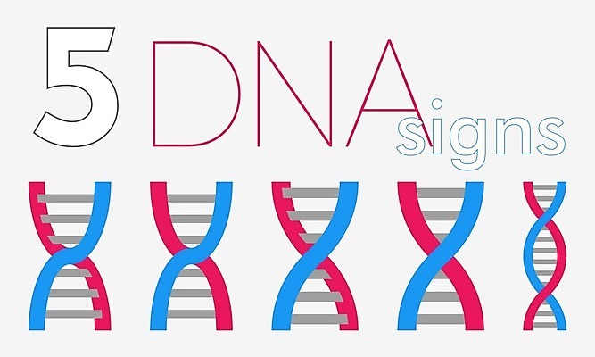 EPS 해외이미지 분홍색 일러스트 파란색 회색 흰색 DNA 5 신맛 해외202004 해외일러스트 컬러 숫자 맛 생명공학 파일형식 벡터 이미지허브