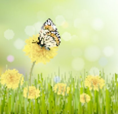 EPS 해외이미지 나무 식물 구름 디자인 계절 꽃 종이 문화 나비 백그라운드 컨셉 잎 꽃무늬 일러스트 텍스트 자연 하늘 추상 부활절 야외 그래픽 장식 초록색 여름 우주 정원 페인트 봄 공백 축하 신선 오픈 구멍 신용카드 민들레 두루마리 심볼 문서 데이지 내추럴 이국적 평야 해외202004 해외일러스트 자연요소 기념일 컬러 곤충 무늬 금융 생태계 파일형식 벡터 이미지허브