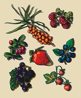 EPS 해외이미지 식물 디자인 계절 열매 음식 백그라운드 잎 다이어트 과일 일러스트 자연 건강 요리 초록색 물 컬러풀 정원 주스 수확 신선 시장 달콤 맛 떨어짐 낙서 잼 스케치 오브젝트 메뉴 그림 유기농 슈퍼마켓 내추럴 채식주의자 해외202004 해외일러스트 자연요소 웰빙 음료 컬러 컨셉 농업 미술 상점 소스_음식 생태계 채식 파일형식 벡터 이미지허브